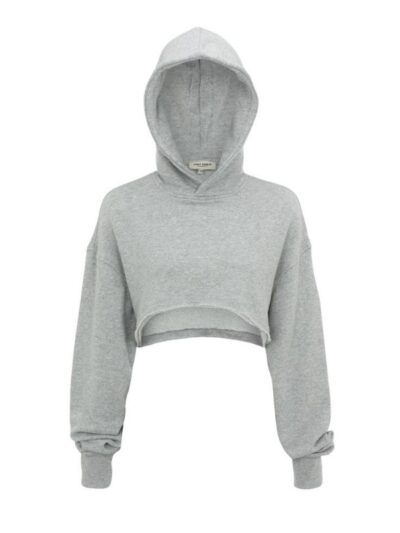 Ap crop hoodie Gray